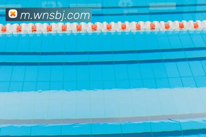 澳门威尼斯在线娱乐平台生态图